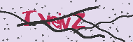 Captcha認証コード